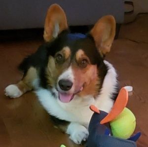 Meet your Posher, Tanya